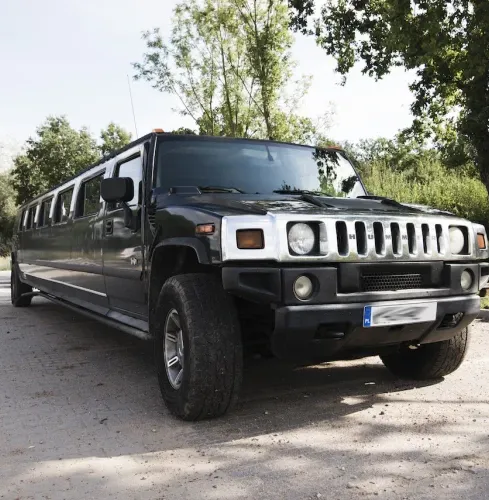 Breslau STRIP HUMMER