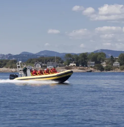 Danzig RIB POWER BOATS Danzig RIB POWER BOATS
