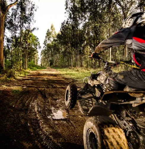 Krakau QUAD